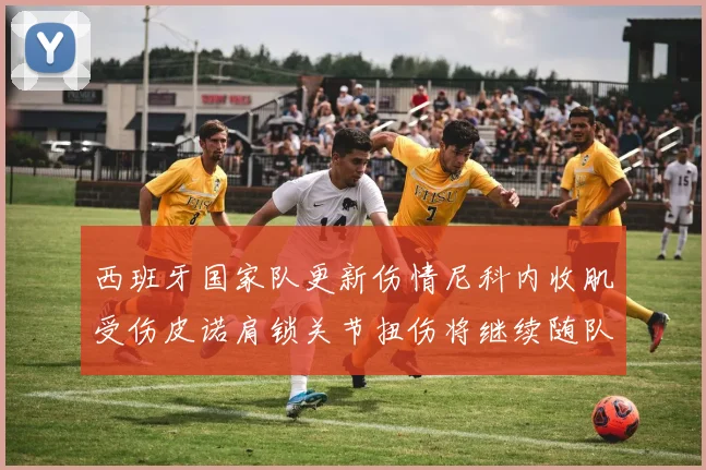 西班牙国家队更新伤情尼科内收肌受伤皮诺肩锁关节扭伤将继续随队训练