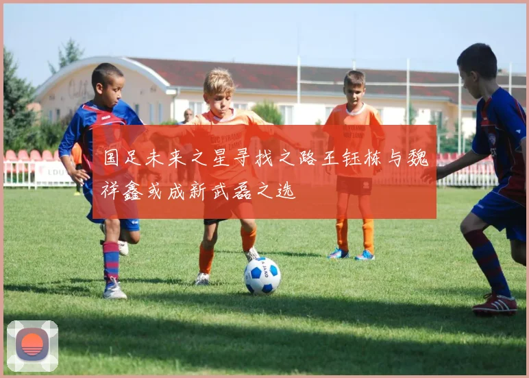 国足未来之星寻找之路王钰栋与魏祥鑫或成新武磊之选